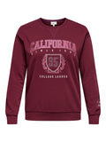 CARBEN L/S O-NECK SWEAT JRS Rood