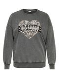 ARLAUREN L/S O-NECK SWT JRS