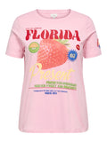 CARBOLETTE LIFE REG S/S TOP BOX JRS Romance Rose FLORIDA